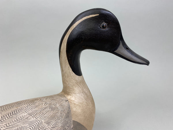 Torry Ward / Charlie Moore Pintail Drake (#7911)