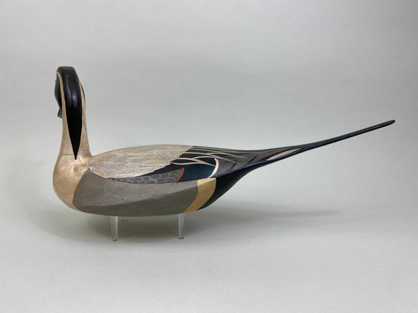 Torry Ward / Charlie Moore Pintail Drake (#7911)