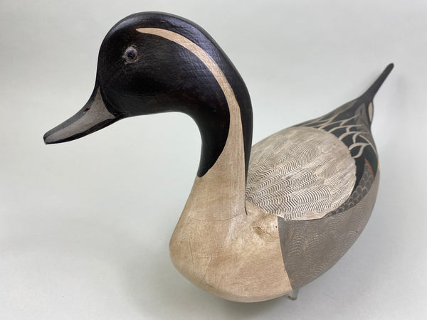 Torry Ward / Charlie Moore Pintail Drake (#7911)