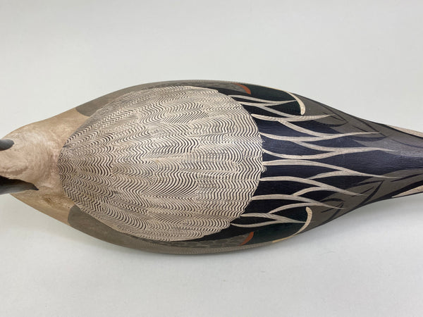 Torry Ward / Charlie Moore Pintail Drake (#7911)