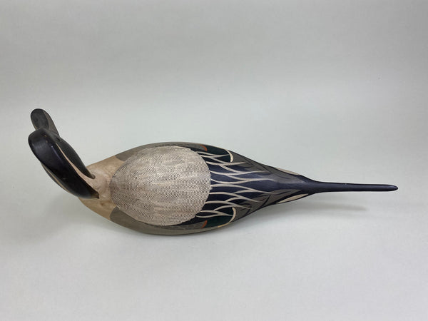 Torry Ward / Charlie Moore Pintail Drake (#7911)