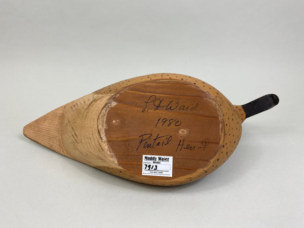 Torry Ward Pintail Hen, Signed & Dated (#7913)