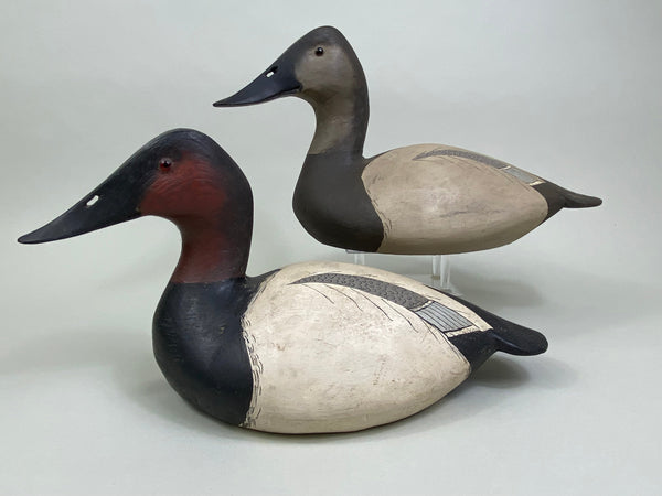 Ward Bros. Style Canvasback Pair by Gene Sullivan (#7914)