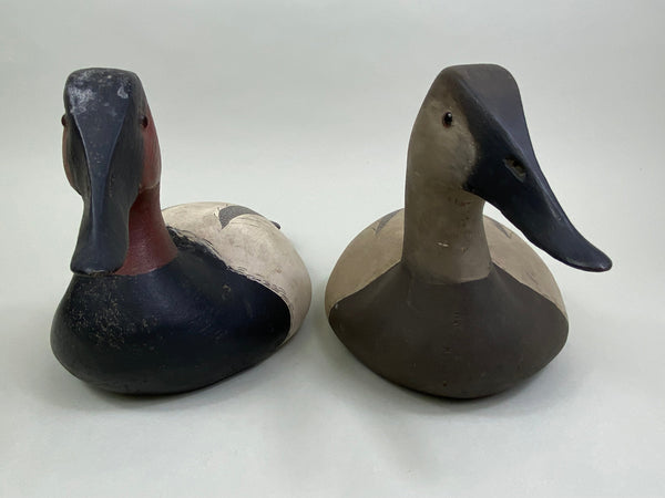 Ward Bros. Style Canvasback Pair by Gene Sullivan (#7914)