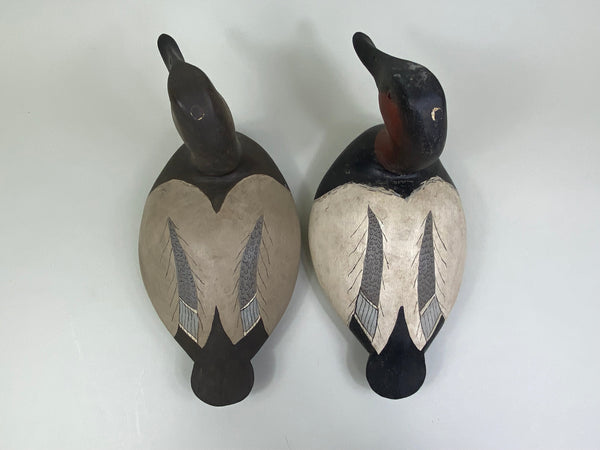 Ward Bros. Style Canvasback Pair by Gene Sullivan (#7914)