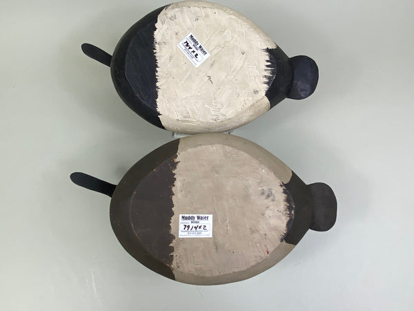 Ward Bros. Style Canvasback Pair by Gene Sullivan (#7914)