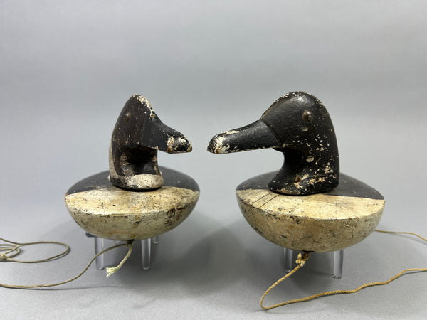 Folky Pair of Unknown Wisconsin Pintails (#3944)