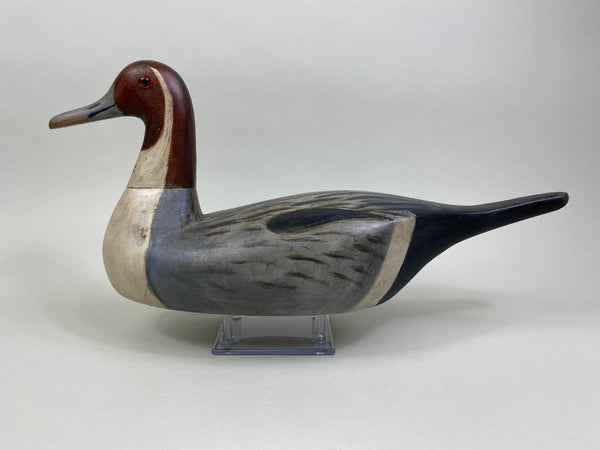 Seth Barry California Pintail Drake (#7918)