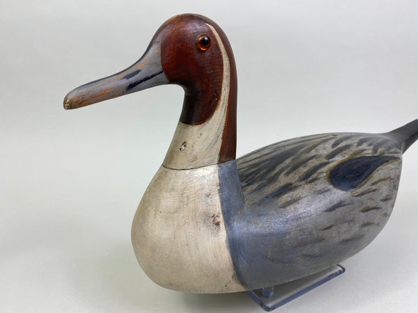 Seth Barry California Pintail Drake (#7918)