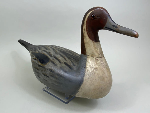 Seth Barry California Pintail Drake (#7918)