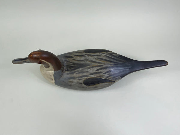 Seth Barry California Pintail Drake (#7918)
