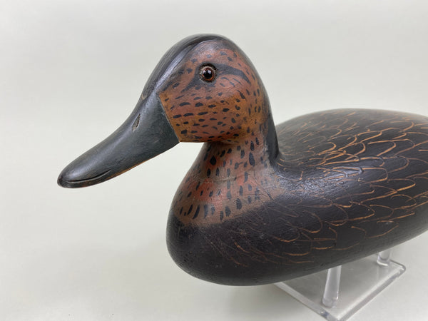 Paul Casson Black Duck (#7920)
