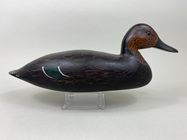 Paul Casson Black Duck (#7920)