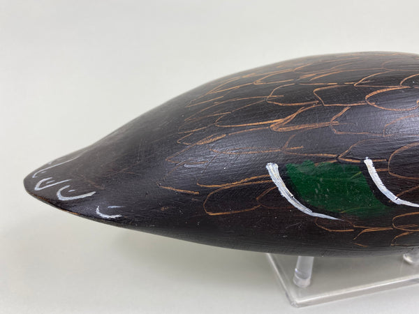 Paul Casson Black Duck (#7920)