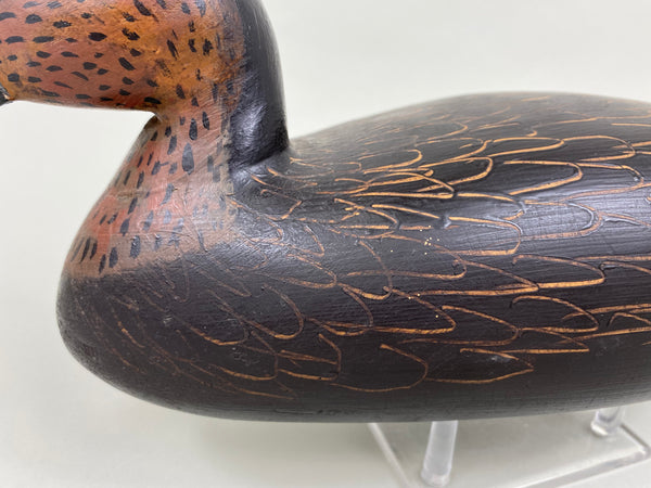 Paul Casson Black Duck (#7920)