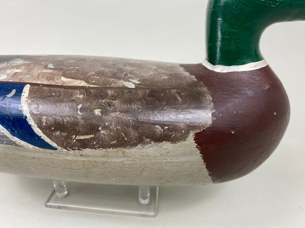 Walter "Tube" Dawson Mallard Drake (#7922)