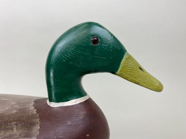 Walter "Tube" Dawson Mallard Drake (#7922)