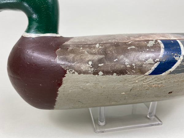 Walter "Tube" Dawson Mallard Drake (#7922)