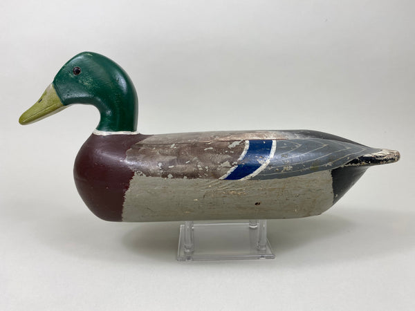 Walter "Tube" Dawson Mallard Drake (#7922)