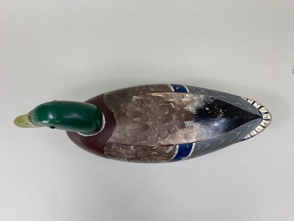 Walter "Tube" Dawson Mallard Drake (#7922)