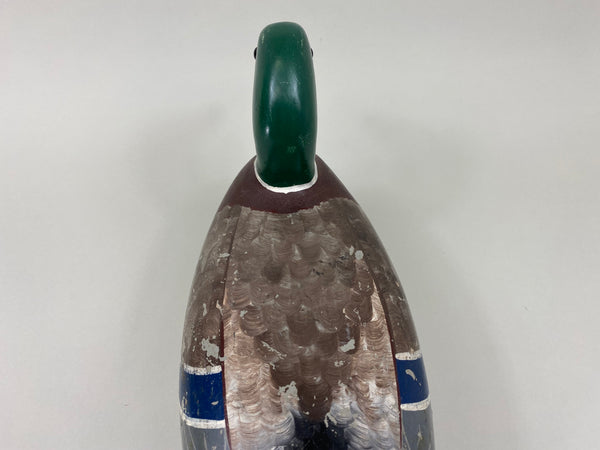Walter "Tube" Dawson Mallard Drake (#7922)