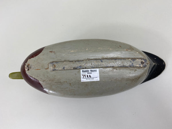 Walter "Tube" Dawson Mallard Drake (#7922)