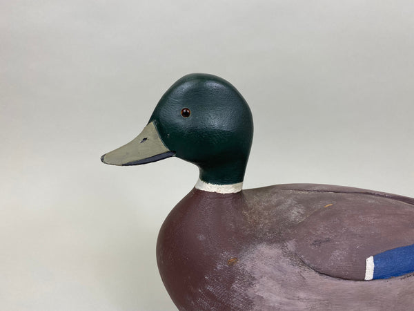 Guyon Brothers Mallard Drake (#7928)