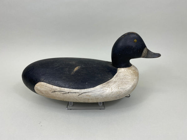 Danny Scrivens Goldeneye Drake (#7930)