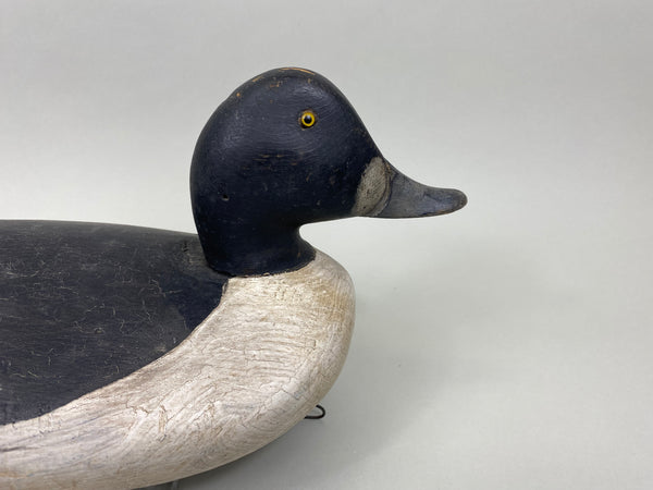 Danny Scrivens Goldeneye Drake (#7930)