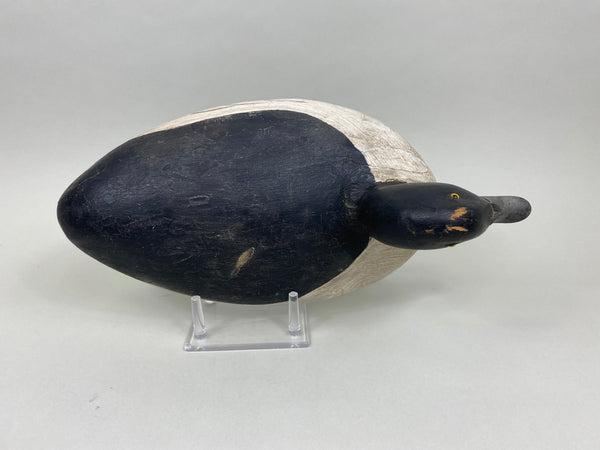 Danny Scrivens Goldeneye Drake (#7930)