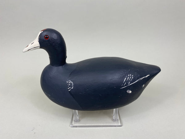 Paul Doering Coot-Mud Hen, Branded (#7931)