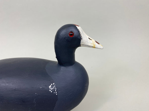 Paul Doering Coot-Mud Hen, Branded (#7931)