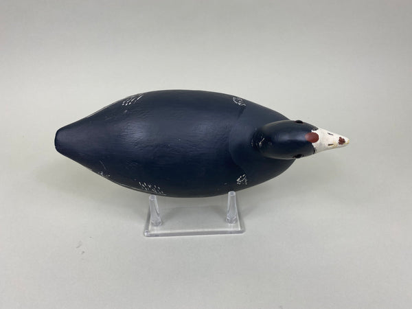 Paul Doering Coot-Mud Hen, Branded (#7931)