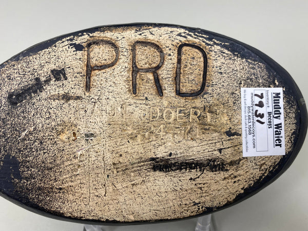 Paul Doering Coot-Mud Hen, Branded (#7931)