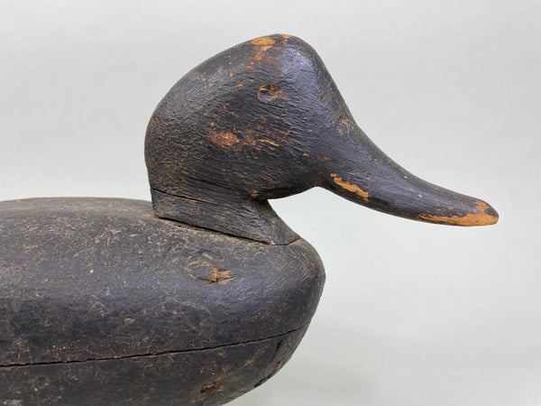 Wilbur Corwin Black Duck, Circa 1890's (#7946)