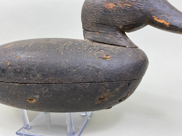 Wilbur Corwin Black Duck, Circa 1890's (#7946)