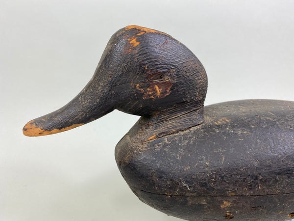 Wilbur Corwin Black Duck, Circa 1890's (#7946)