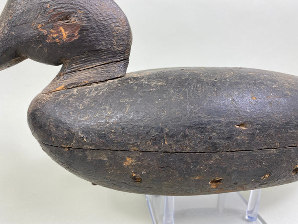 Wilbur Corwin Black Duck, Circa 1890's (#7946)