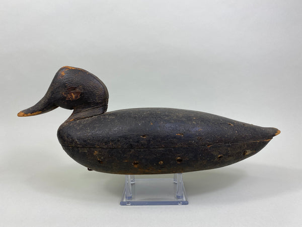 Wilbur Corwin Black Duck, Circa 1890's (#7946)