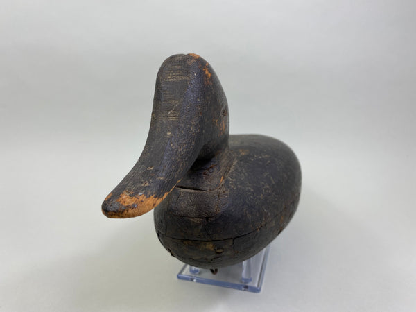 Wilbur Corwin Black Duck, Circa 1890's (#7946)