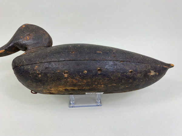 Wilbur Corwin Black Duck, Circa 1890's (#7946)