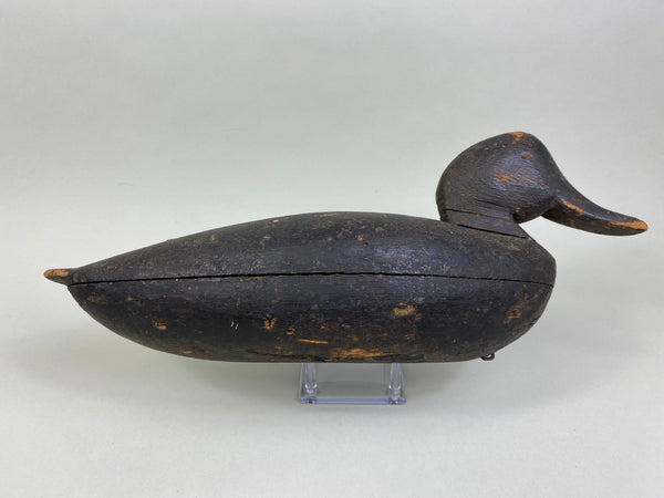 Wilbur Corwin Black Duck, Circa 1890's (#7946)