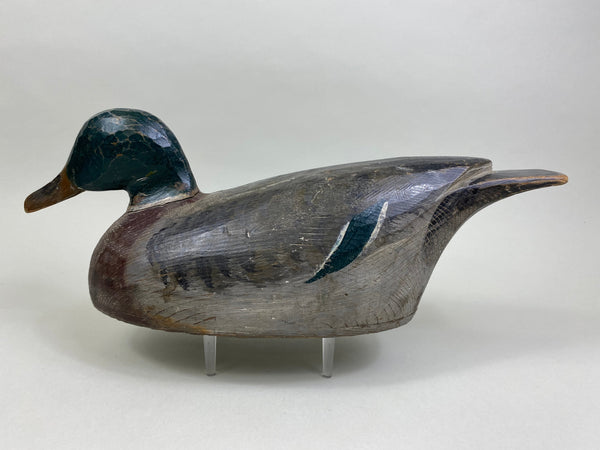 Percy Bicknell Mallard Drake (#7951)
