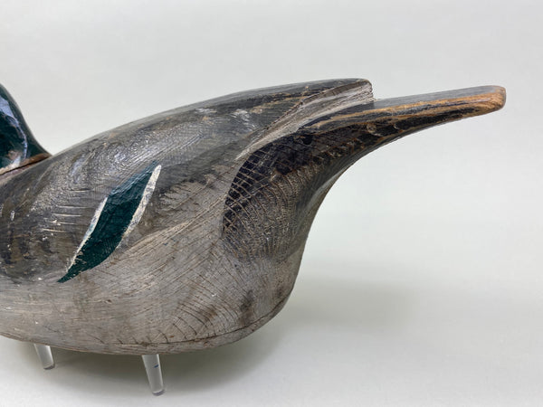 Percy Bicknell Mallard Drake (#7951)