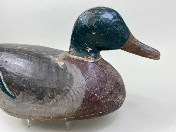 Percy Bicknell Mallard Drake (#7951)