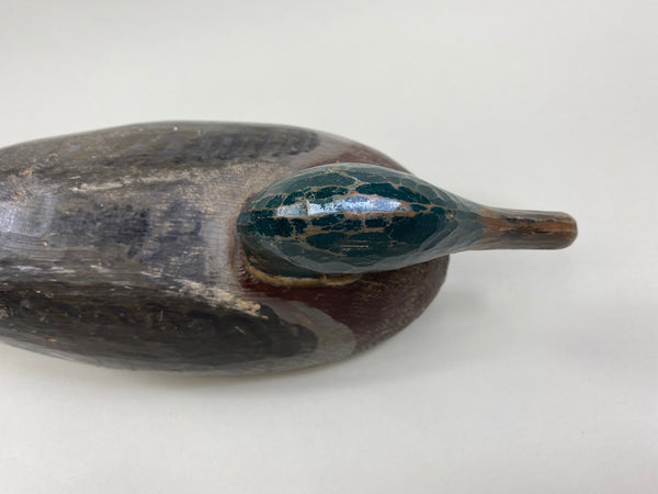 Percy Bicknell Mallard Drake (#7951)