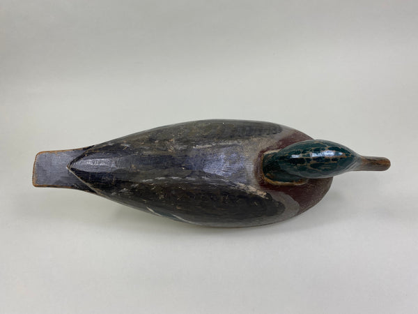 Percy Bicknell Mallard Drake (#7951)