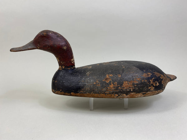 Tobin Meldrum Canvasback Drake, Circa 1930's (#7975)
