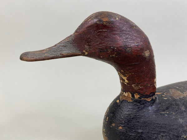 Tobin Meldrum Canvasback Drake, Circa 1930's (#7975)