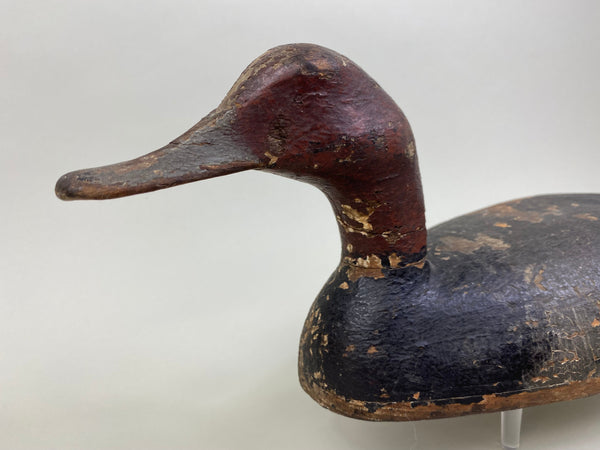 Tobin Meldrum Canvasback Drake, Circa 1930's (#7975)